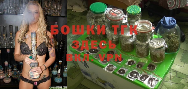 гашик Алексеевка