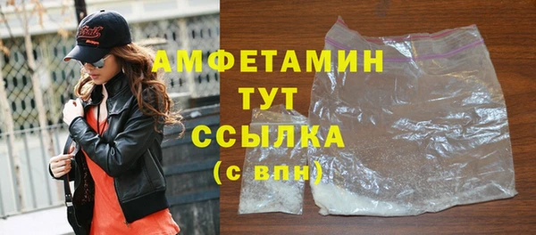 гашик Алексеевка