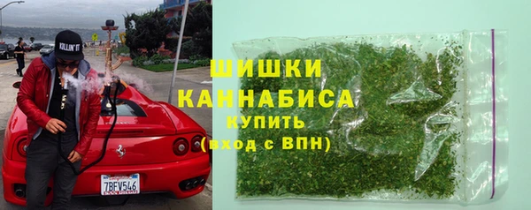 гашик Алексеевка